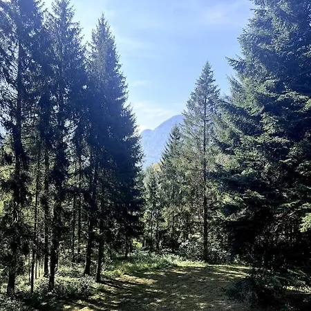 Gemuetliches Landhaus Mit Garten Bad Ischl