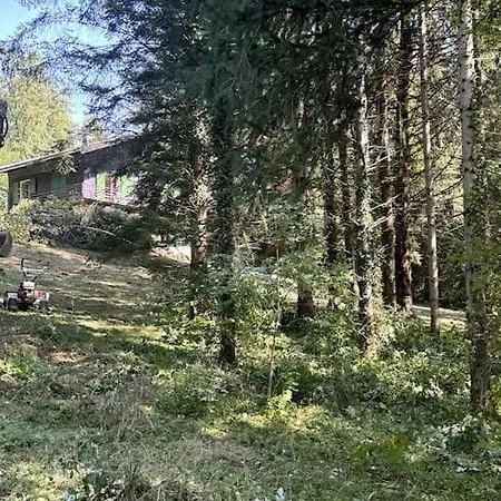 Gemuetliches Landhaus Mit Garten * Bad Ischl